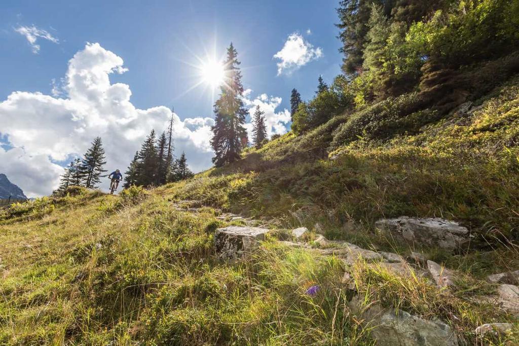 T3 Gasthof Spullersee Вальд-ам-Арльберг Экстерьер фото
